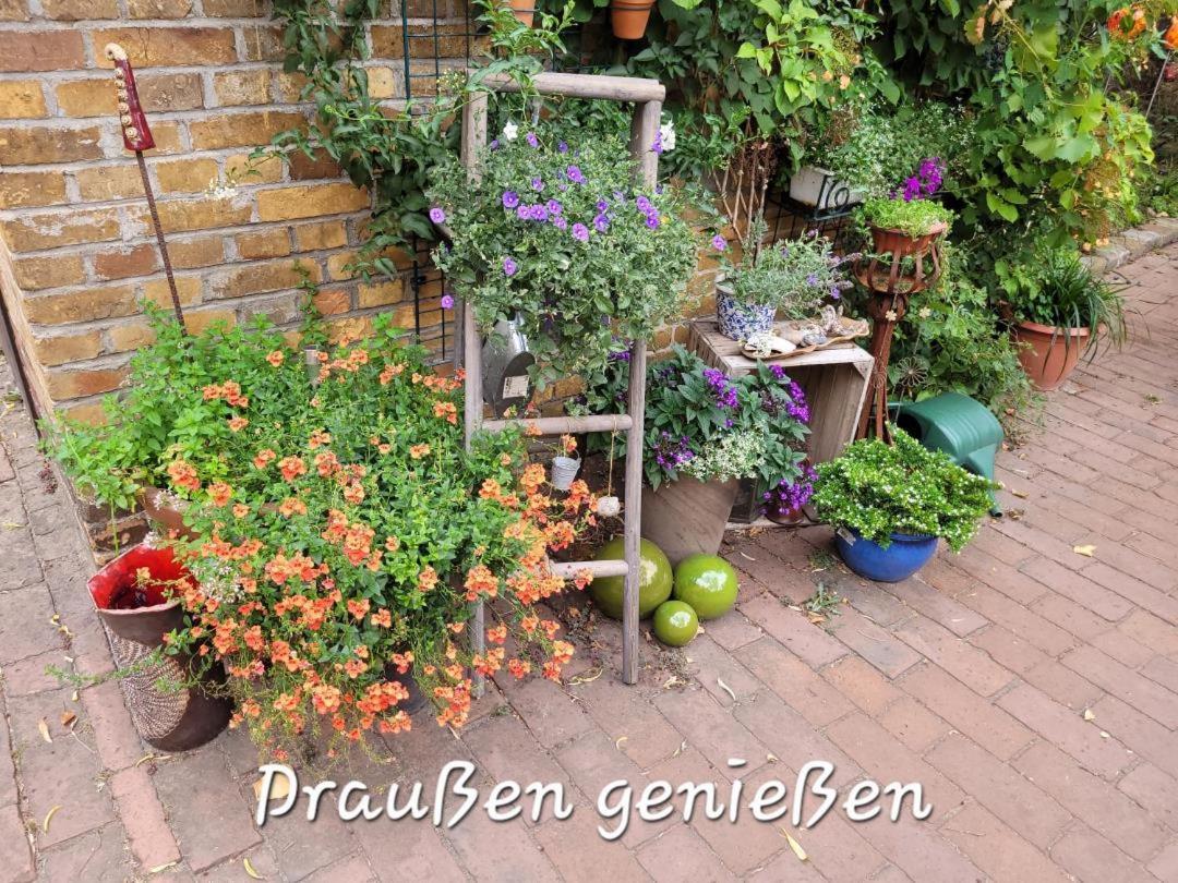 Neu! Stilvolle Fewo Finsterwalde Exteriér fotografie